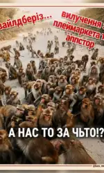 majzhe vsi pokupczi zalishilisya bez vajldberiz msg 3029