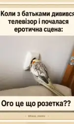 nezruchnij moment z batkami i erotikoyu msg 2963