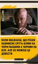 paradoks ptashinih slidiv na mashinah msg 2960