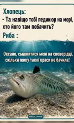 pedikyur na mori u ribki є glyadachi msg 2989