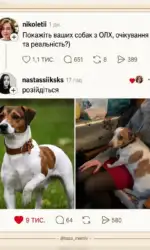 Мемасики Вторника 21.07.2026 42 pes z olx ochikuvannya vs realnist msg 3140