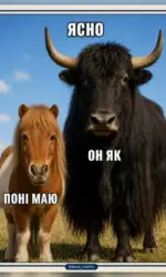 poni i yak – vse prosto msg 3035