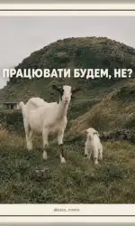 problemi z motivacziєyu na roboti msg 3041