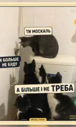 proshhannya z moskalem za uchasti koshenyat msg 2986
