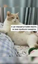 shhe nedodegustuvav nedilyu a vzhe prijshov ponedilok msg 3026