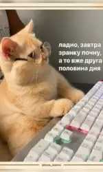 shhe vstignu pochati zavtra vranczi msg 3070