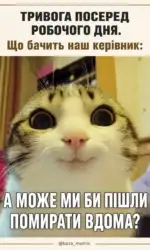 kerivnik pid chas trivogi na roboti msg 5355