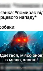 sobaki ne viryat u vidmovu vid myasa msg 5332