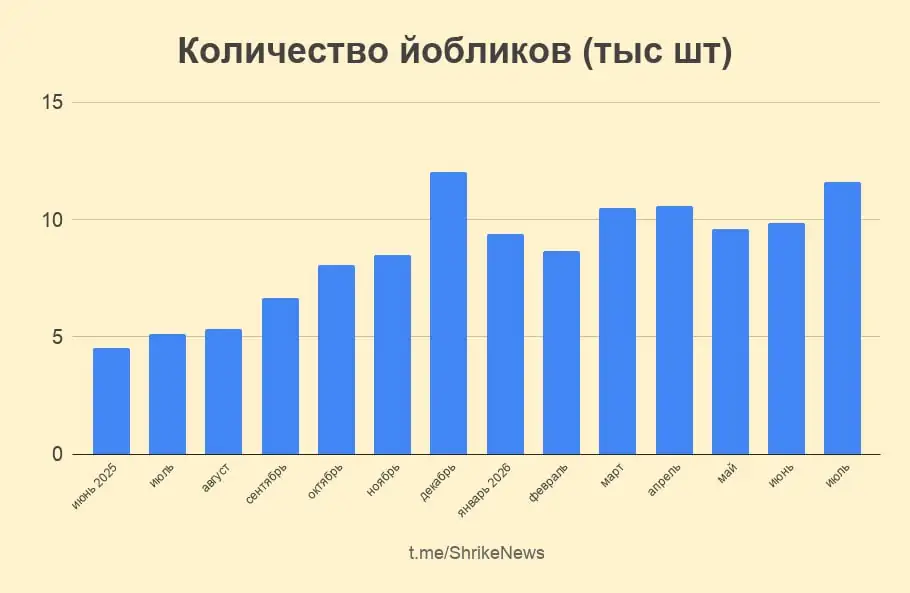 СБС показала июльские рекорды по боевым вылетам 1 temp photo 31725