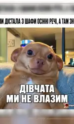 Мемасики Вторника 22.09.2026 10 koli osinni rechi znovu ne vlizli msg 6014