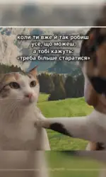 Мемасики Вторника 22.09.2026 11 koli robish use a prosyat shhe bilshe msg 6024