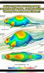 Мемасики Вторника 22.09.2026 31 yakshho podruga ne skidaє aerodinamiku bobra msg 6001