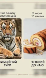 ambicziї na pochatku dnya ta realnist za 15 hvilin msg 6881