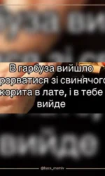 Мемасики Пятницы 16.10.2026 2 ananas yak simvol ukraїnskoї sili msg 6910