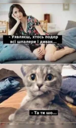 kit u shoczi vid rezultatu rozborok msg 7087