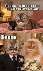 koli dovirilis a vona vijshla zamizh msg 6828