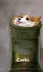 korgi yak korok u plyashczi msg 7062