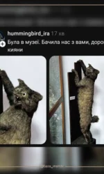 koti z kiyanami na muzejnij ekspozicziї msg 6899