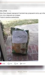 kotyache alimenti vid susida msg 6888