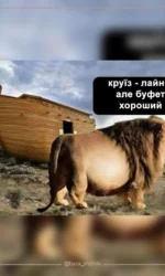 kruїzne lajno z klasnim bufetom msg 6965