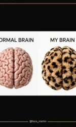 mij mozok yak puhnastij leopard msg 6850