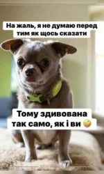 pes yakij ne dumaє ale zdivovanij yak vsi msg 6860