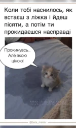prokidaєshsya a narobiv lyapu msg 6851
