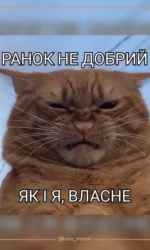 ranok ne dobrij yak ya sam msg 7023