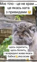 tilo yak hata z primarami i babkoyu vseredini msg 6963