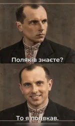 vidpovid iz kalamburom pro polyakiv msg 6976