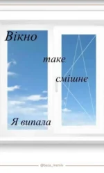 vipala z vikna — smishno msg 6983