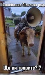 yak praczyuє shishakivska silska rada msg 6842