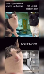 z holodilnika nichogo ne brati bo cze morg msg 6973