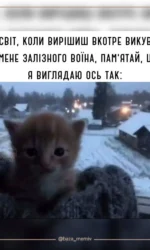 zaliznij voїn — malyuk kote msg 6829