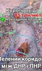 zelenij koridor mizh dnr i lnr – kurinij provid msg 6877