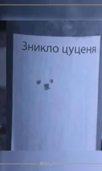 znikle czuczenya yake vidno lishe v oblichchi msg 6870